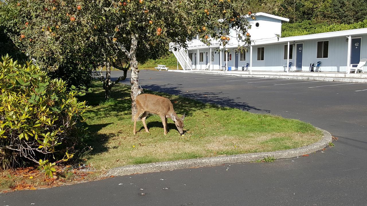 Winchester Bay Inn Reedsport Quarto foto